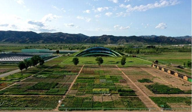 蒙草生態上市十周年:種業為本、科研當先