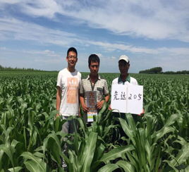 新產品 新伙伴 新宏圖