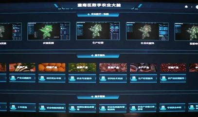 潼南種業(yè)振興行動 打造現(xiàn)代農(nóng)業(yè)“芯”動力